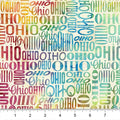 2026 All Ohio Shop Hop Fabric Preview - Ohio Words Multi | Quilt Beginnings