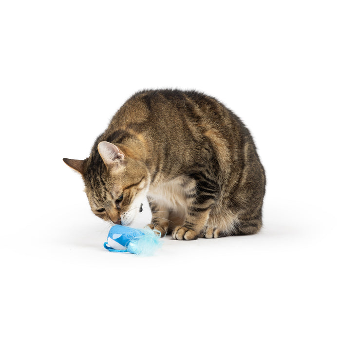 Cat with Bluebird Chirpy Cat Toy.