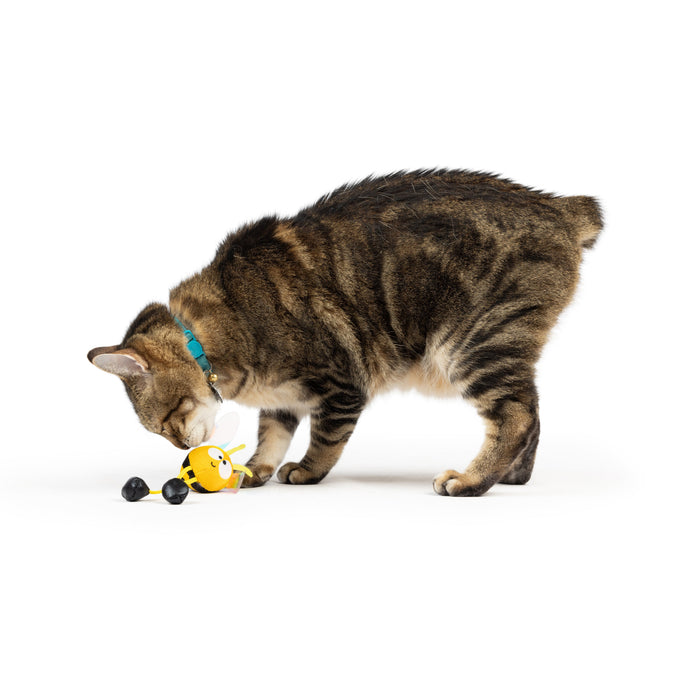 Cat with Bumble Bee Chirpy Cat Toy.