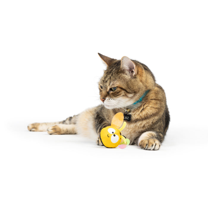 Cat with Bumble Bee Flinger Cat Toy.
