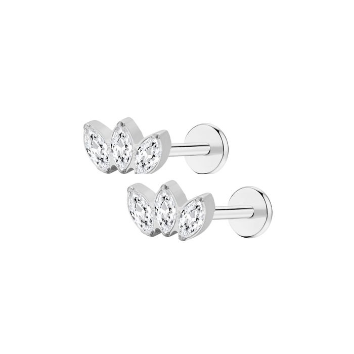 silver-pair