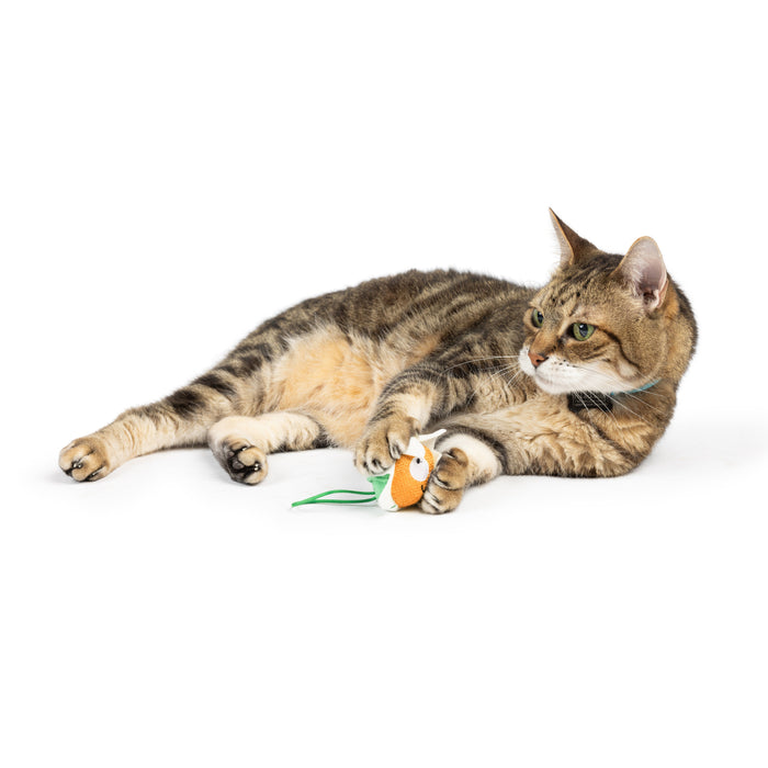 Cat with Flower Flinger Cat Toy.
