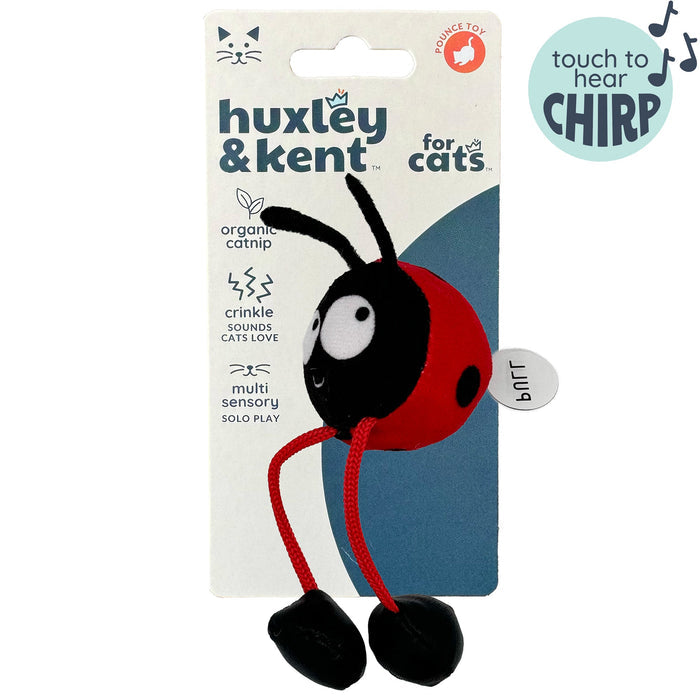 Packaged Ladybug Chirpy Cat Toy.
