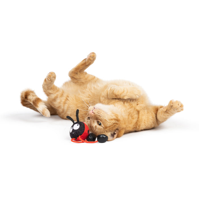 Cat with Ladybug Chirpy Cat Toy.