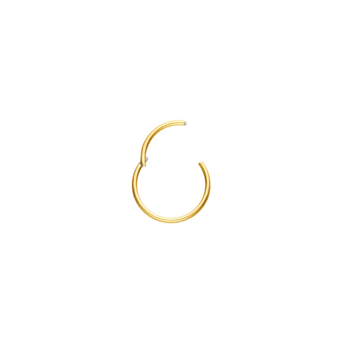 Live-in Hoop (multiple sizes)