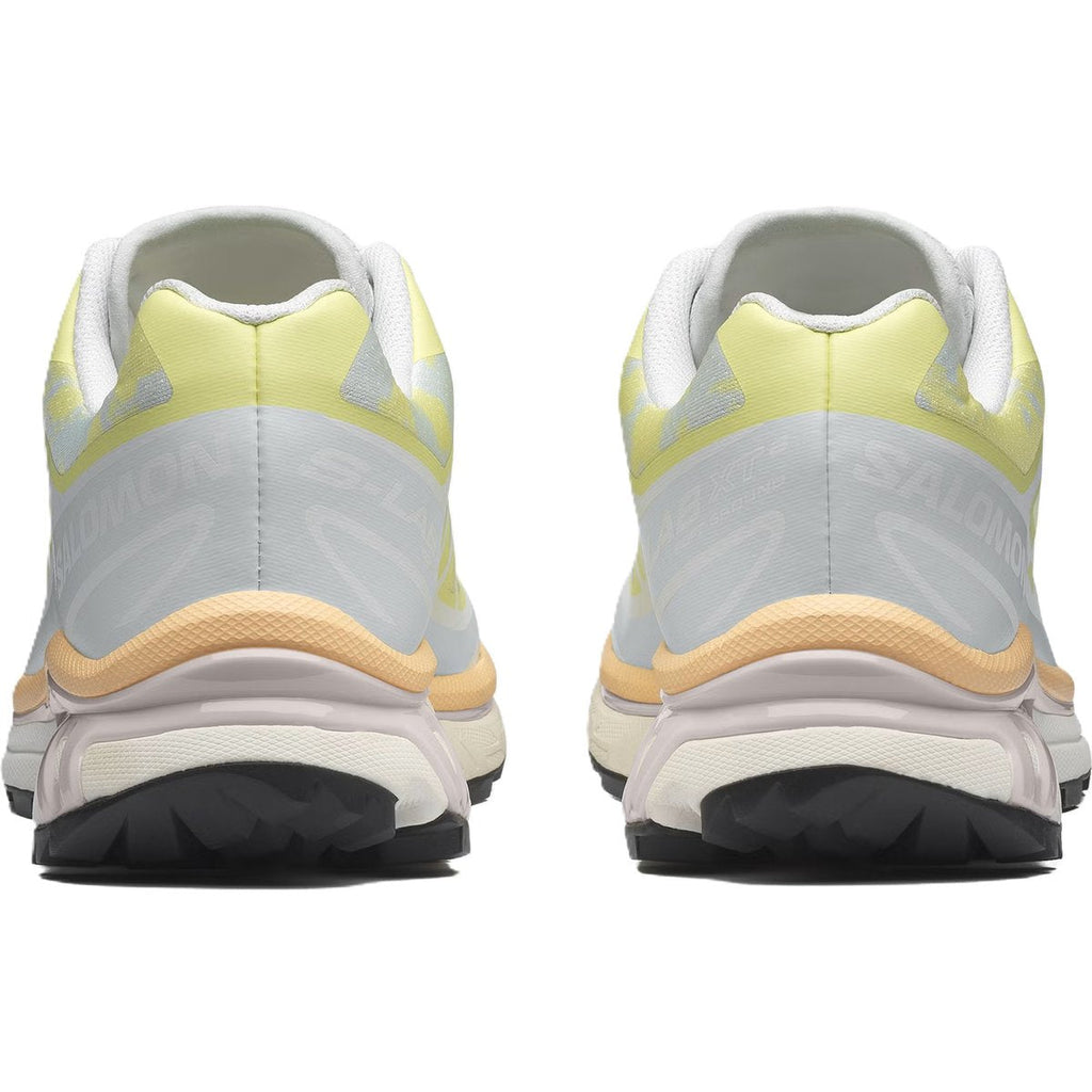 Salomon XT-6 Alpen Blossom Ice Flow