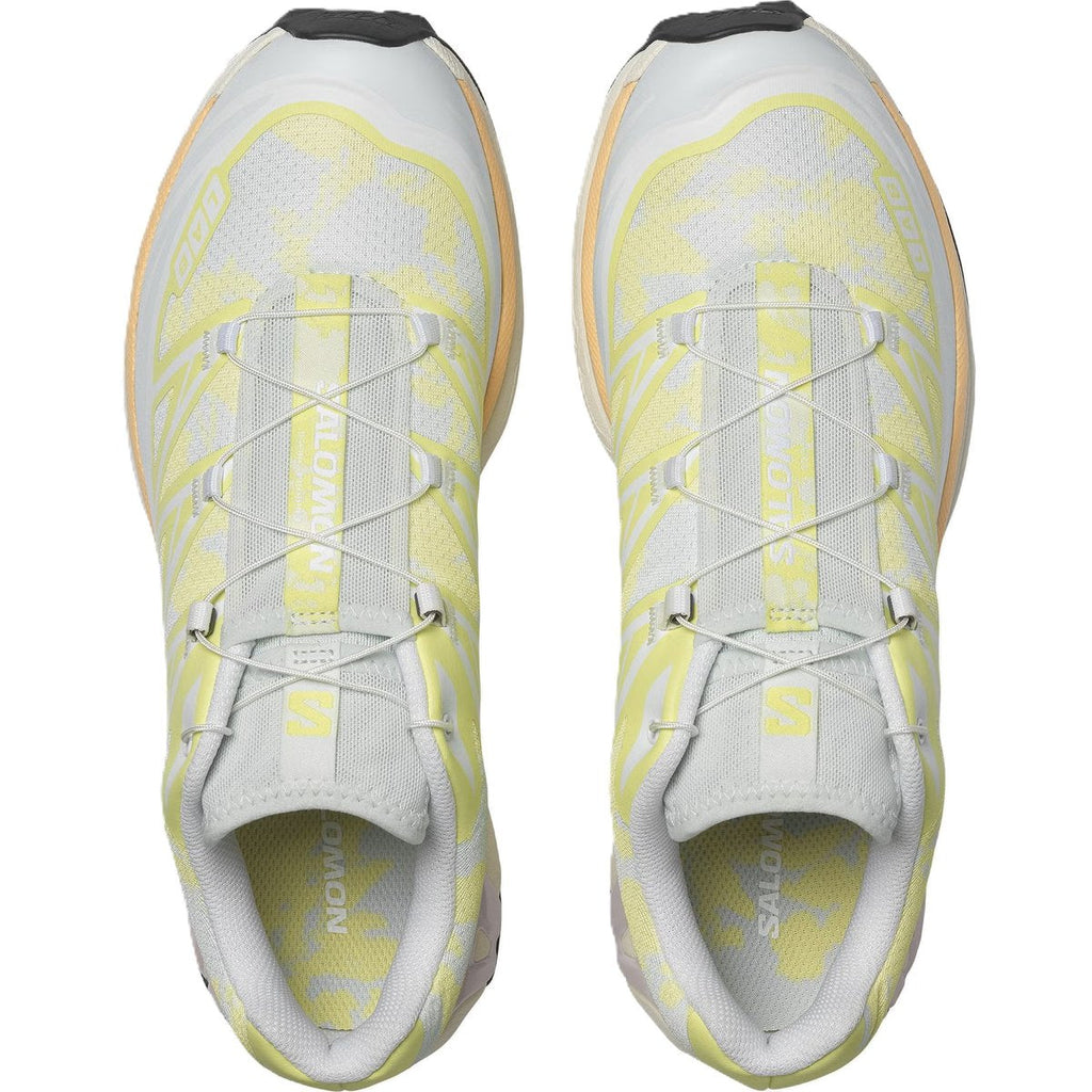 Salomon XT-6 Alpen Blossom Ice Flow