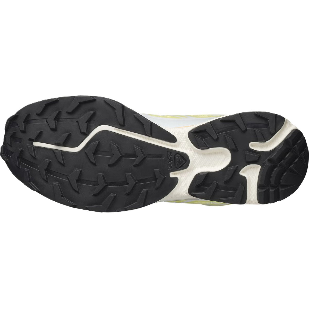 Salomon XT-6 Alpen Blossom Ice Flow