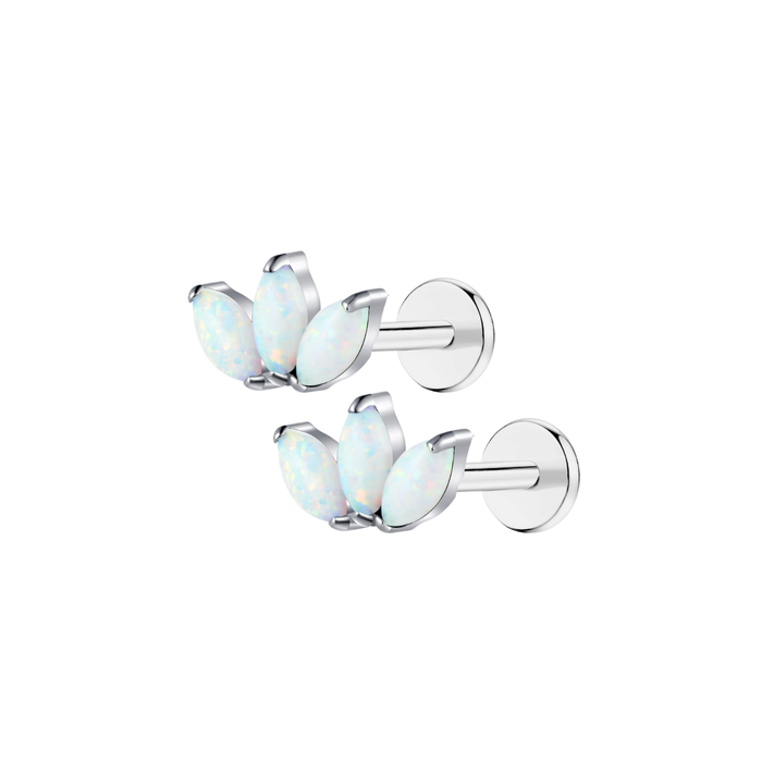 silver-pair