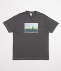 Polar Beach Walk Contrast T-Shirt - Graphite / Green