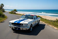 Revell Modellbausatz `66 Shelby GT 350 R Level 4 M 1:24 79 Teile