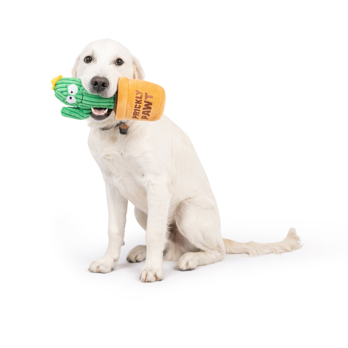 Dog with Seek 'n Treat Prickly Pawt Dog Toy on a white background.