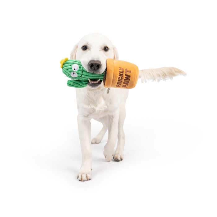 Seek 'n Treat Prickly Pawt Dog Toy