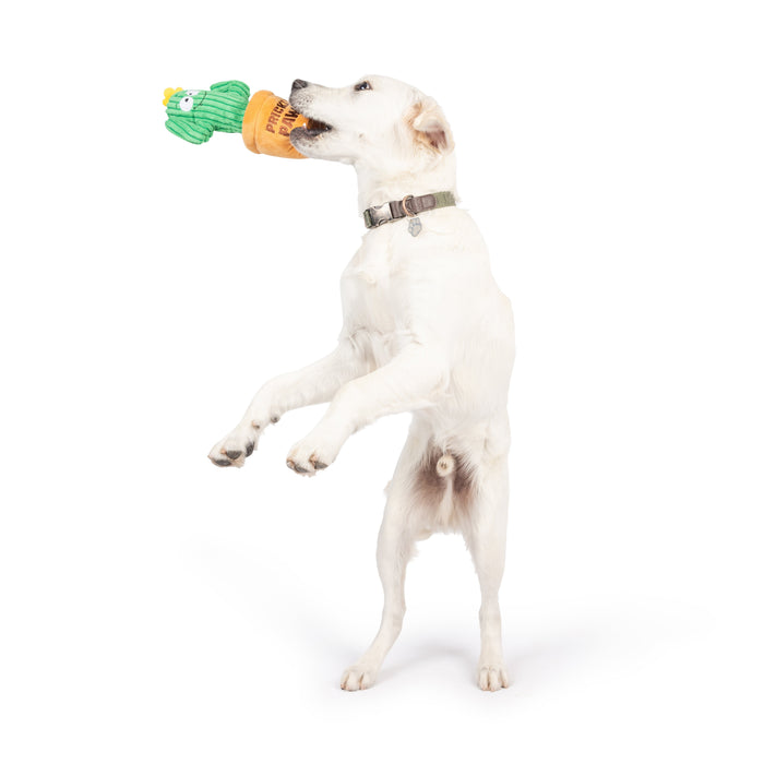 Seek 'n Treat Prickly Pawt Dog Toy
