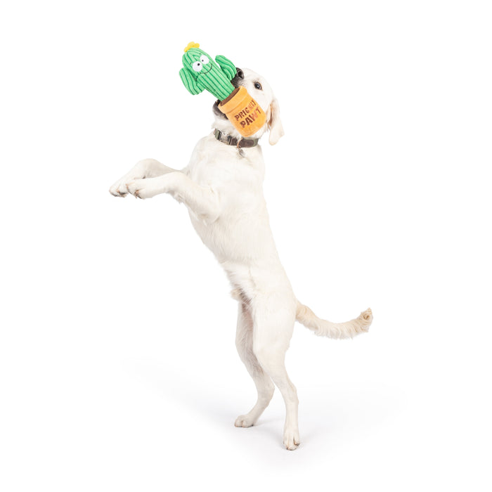Seek 'n Treat Prickly Pawt Dog Toy