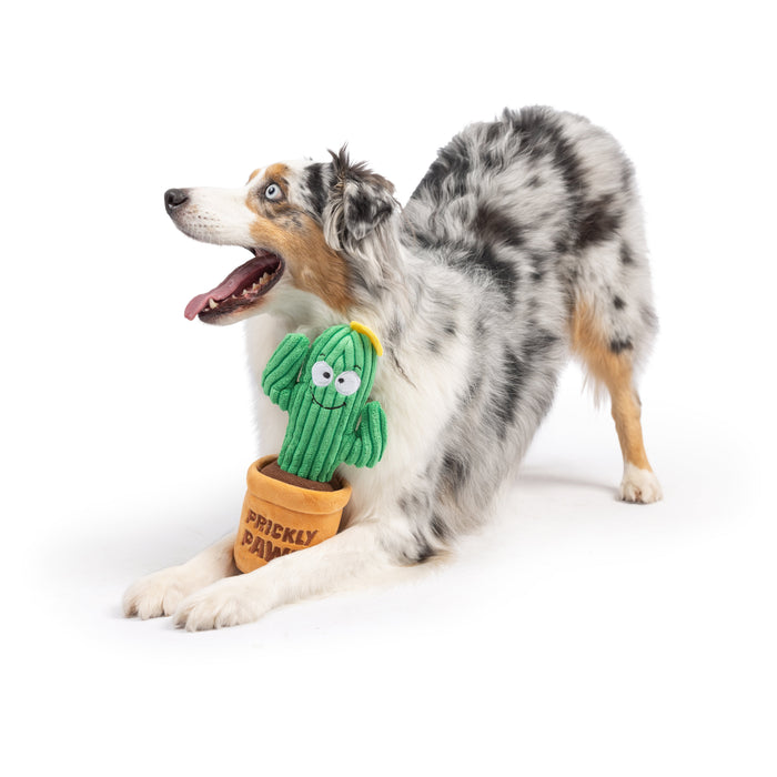 Seek 'n Treat Prickly Pawt Dog Toy