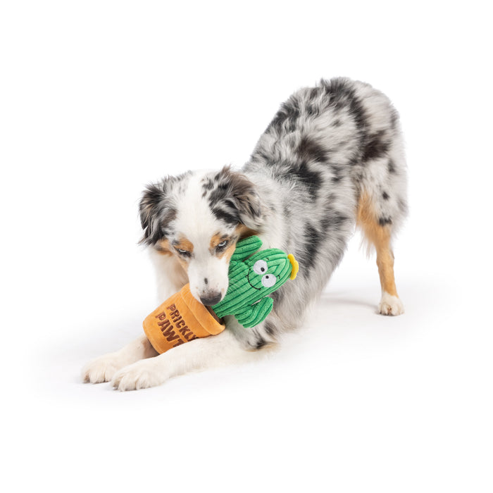 Seek 'n Treat Prickly Pawt Dog Toy