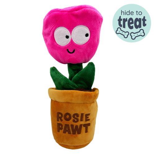 Dog with Seek 'n Treat Rosie Pawt Dog Toy on a white background.