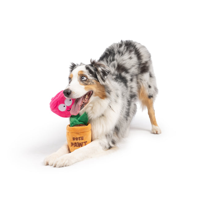 Dog with Seek 'n Treat Rosie Pawt Dog Toy on a white background.