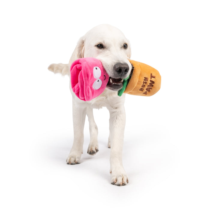 Seek 'n Treat Rosie Pawt Dog Toy