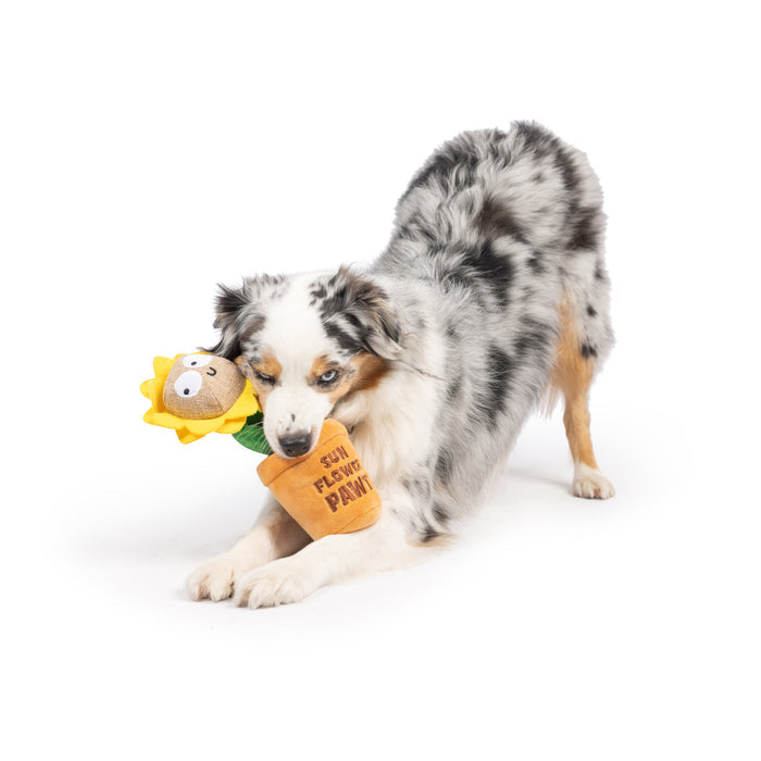 Seek 'n Treat Sunflower Pawt Dog Toy