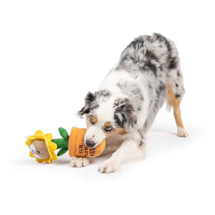 Seek 'n Treat Sunflower Pawt Dog Toy