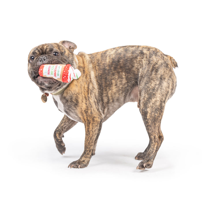 Dog with Tiny Tuff Latte My Way on a white background.